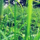 사천농협 이미지