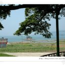 남해-299 이미지