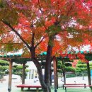 간촌공원 이미지