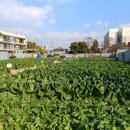 정비마을 이미지