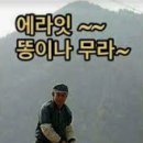 뉴-왕금