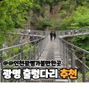 정자 효천초등 사거리 | 도덕산 광명 출렁다리 산책 등산 코스 후기