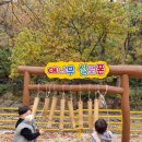 대흥동 유아숲체험원 이미지