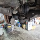 유성차사랑 이미지