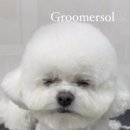 그루머솔 이미지