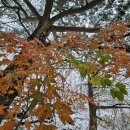 첫눈모텔 이미지