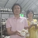 이상봉농장 이미지