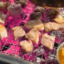 1703참한집 효자점 | 평택 삼겹살 맛집 | 직접 구워주는 고깃집 1703 참한집 내돈내산 솔직후기 feat. 삼겹살 항정살 목살