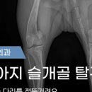 동해동물병원 이미지