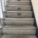 두근두근 플스방 이미지