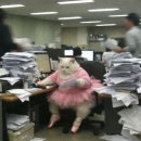 신데렐라노래방 | #4월일상 | ①.일상은 한 숟가락, 헛소리는 한 냄비🥸