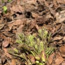 신구농장 이미지