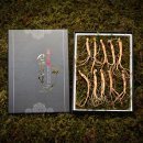 심봤다 - 제주시 고성남서길 8 | 심봤다