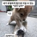 고향막창 이미지