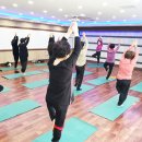 김해시진영읍보건지소 이미지