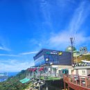 하동코리아짚와이어 이미지