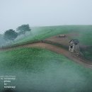 새벽목장 이미지