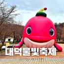 대덕물빛축제 뮤직페스티벌 | 2026 대전 대덕물빛축제 뮤직페스티벌 가수라인업 티켓예약 대청공원 주차