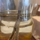 라파전위 | 공명 수저세트 생활화는 회복입니다