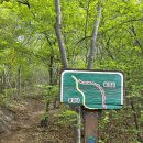 제921차(2026.4.30.목) 전남 보성군 초암산(576m)+초암정원 코스 이미지