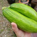 인혜농장 이미지