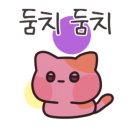 시티타이거