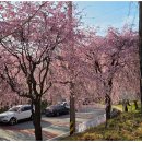 거창-남상-11 이미지