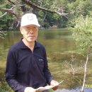 초원 숲속 야영장 이미지