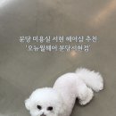 유정헤어샵 - 중구 퇴계로90길 30 | 유정헤어샵