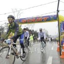 연봉자전거 이미지