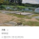 엘리네집 | 서울 근교 캠핑장 화성 &#39;엘리캠핑&#39; 가족2 사이트 내돈내산 후기