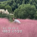 숲길 걷기 동아리 활동 | 울산 가볼만한곳 태화강 국가정원 - 아름다운 핑크뮬리 들판, 대나무숲길 걷기