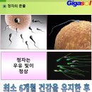 불량제품을 마구잡이로 생산한 부모님과 조상님~아기 생산 이미지