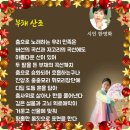 설봄그룹 / 서울본회 / 경기지회 / 인천지회 / 문경지회 / 대전지회 / 대구지회 / 창원지회 / 부산지회 / 호치민지회 / 미국지회 이미지