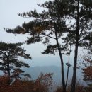 한산1리마을회관 네이버블로그