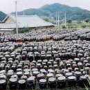 금빛농장 이미지