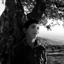 천과나무 이미지