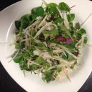 솔로몬농장 이미지