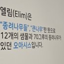 엘림약국 이미지