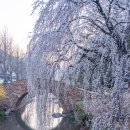 창녕 영산 만년교 이미지