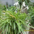 대주 농장 이미지