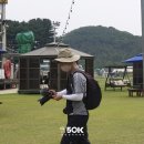 50k 반려견 유치원 이미지