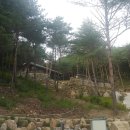 베리1 태양광발전소 네이버블로그