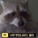 낙동강오리알 이미지