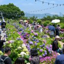 장생포로 이미지