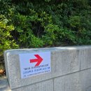 인천연학초등학교장 | 2025년 제21회 대한검정회 전국한문실력경시대회 참가 초등학교 2학년 아이와 고려대학교에 다녀온 후기