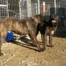 대풍슈퍼 이미지