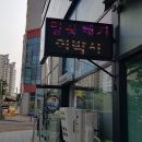 얼룩빼기이박사 이미지