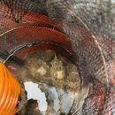 유일낚시마트 이미지