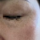 흰토끼의원